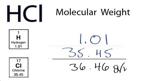 molecular weight of hcl